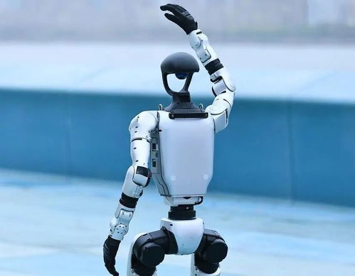 人形機(jī)器人產(chǎn)業(yè)迎來(lái)爆發(fā)期，宇樹(shù)科技啟動(dòng)IPO引領(lǐng)行業(yè)新浪潮